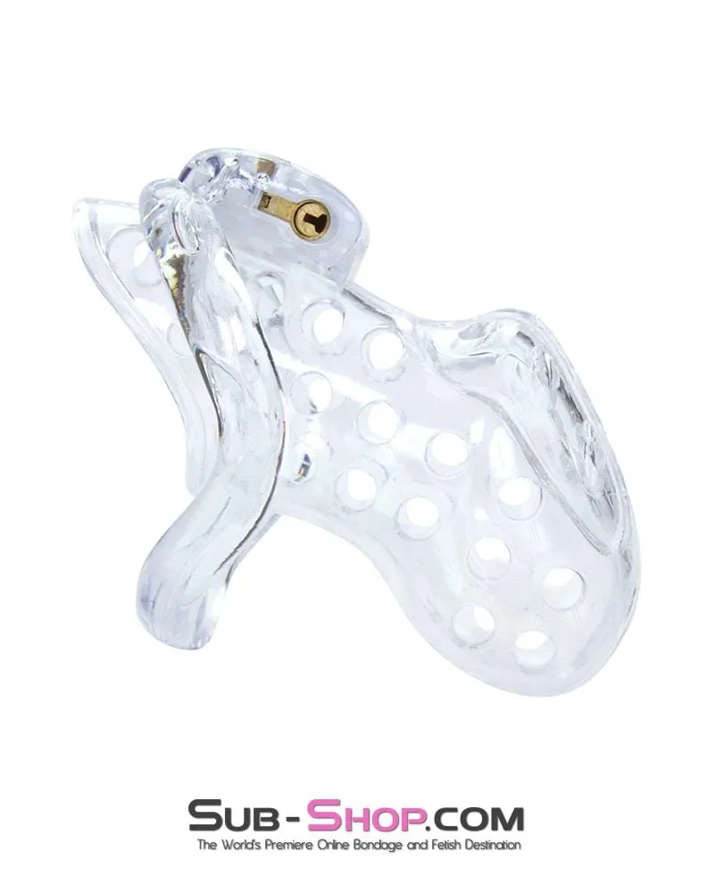 1422AR      Boy Toy Clear High Security Pin Tumbler Locking Cock Cage Chastity - MEGA Deal