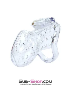 1422AR      Boy Toy Clear High Security Pin Tumbler Locking Cock Cage Chastity - MEGA Deal