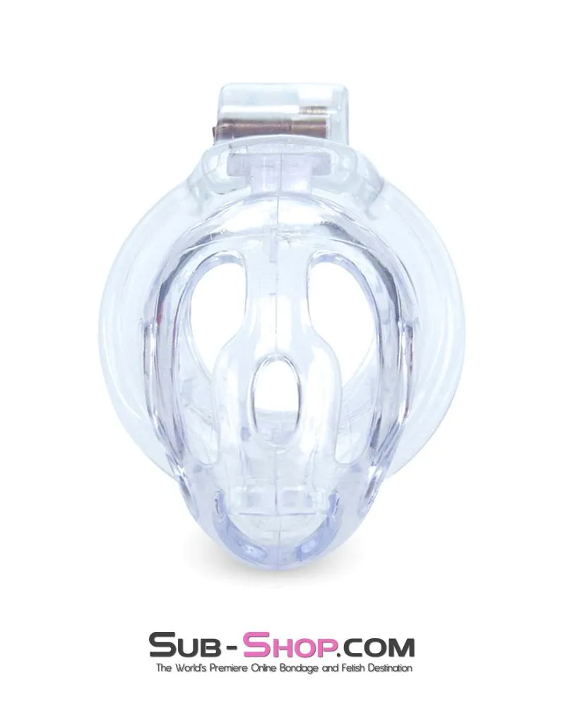 1571AR      Hard Up Clear High Security Cock Cage Chastity Device - MEGA Deal