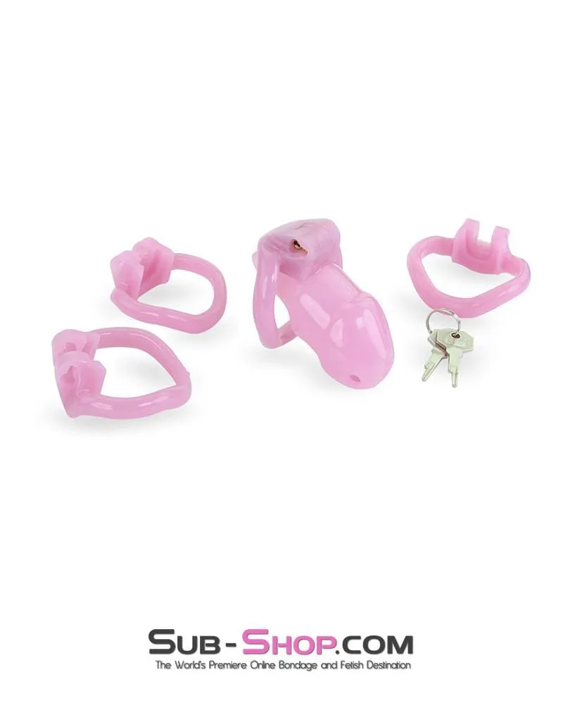 3744AE-SIS      Little Sissy Boy Short High Security Keyed Tumbler Locking Male Chastity with 4 Base Cock Ring Sizes