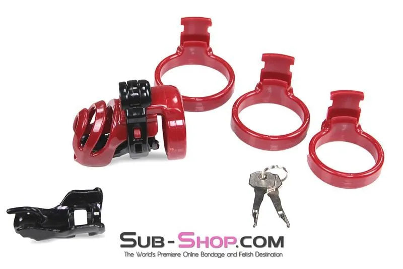 9059AE-SIS      Sissy's Long Night High Security Hinged Locking Male Chastity with Prince Albert Device