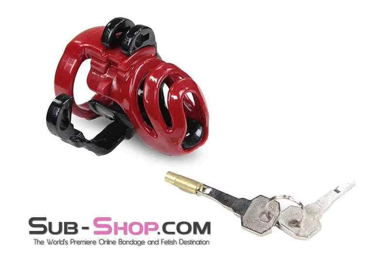 9059AE-SIS      Sissy's Long Night High Security Hinged Locking Male Chastity with Prince Albert Device