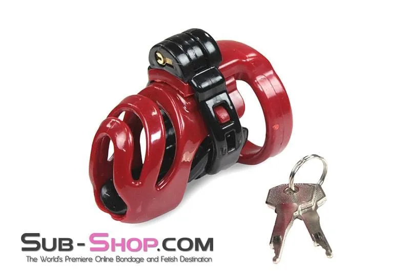 9059AE-SIS      Sissy's Long Night High Security Hinged Locking Male Chastity with Prince Albert Device