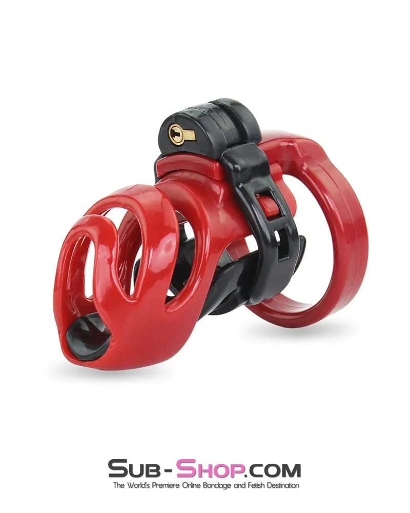 9059AE-SIS      Sissy's Long Night High Security Hinged Locking Male Chastity with Prince Albert Device