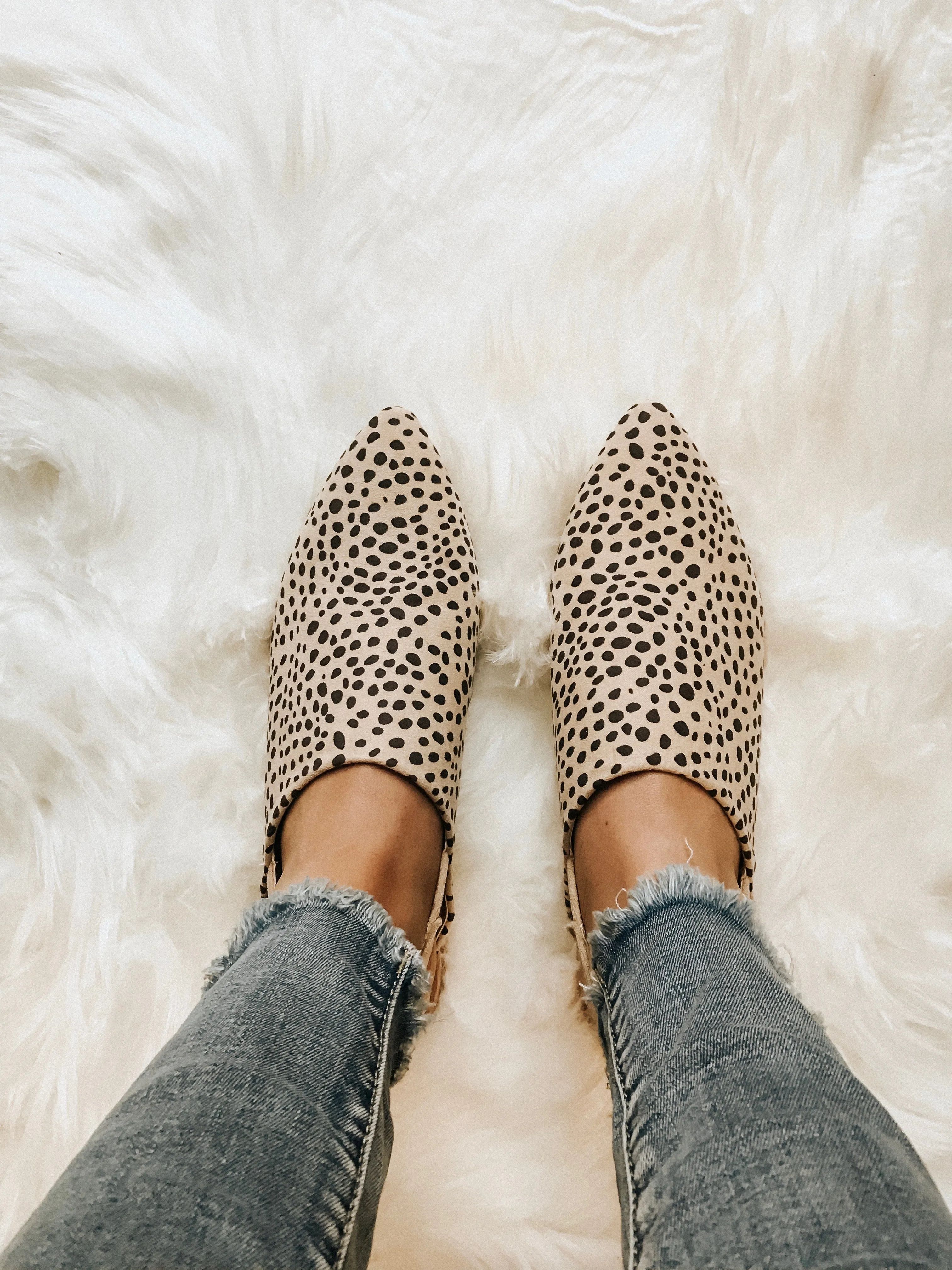 East River Cheetah Flat