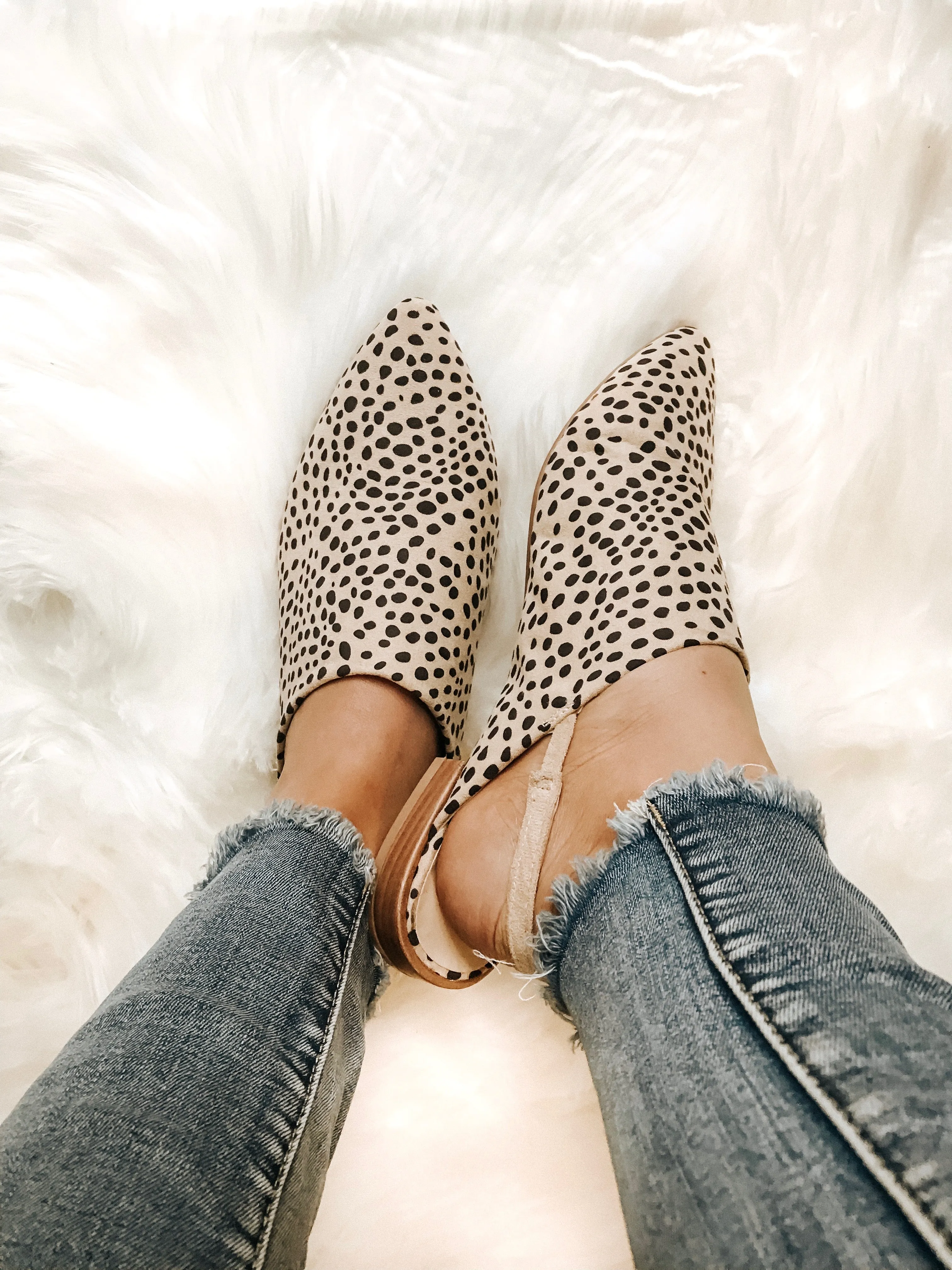 East River Cheetah Flat