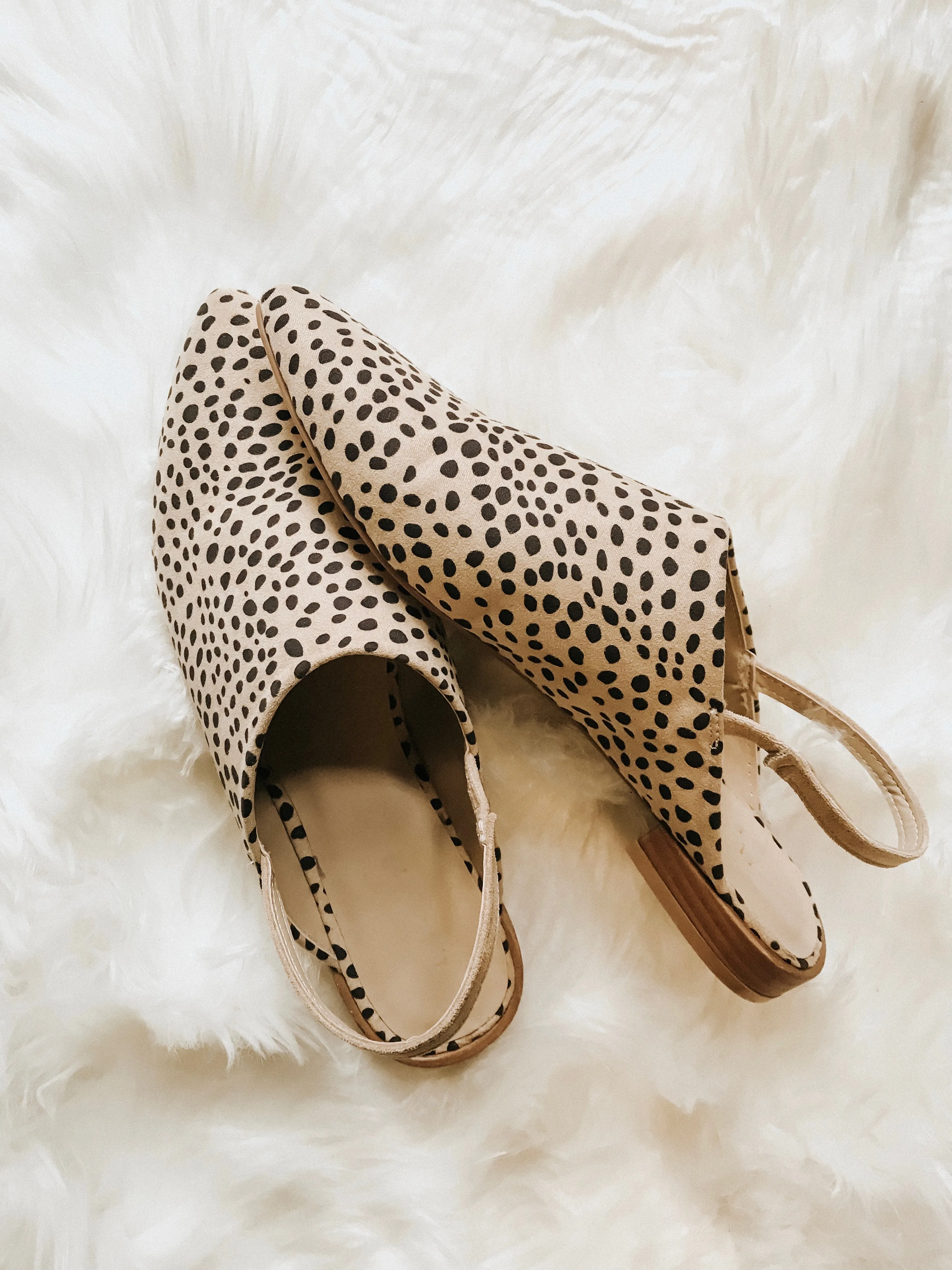 East River Cheetah Flat