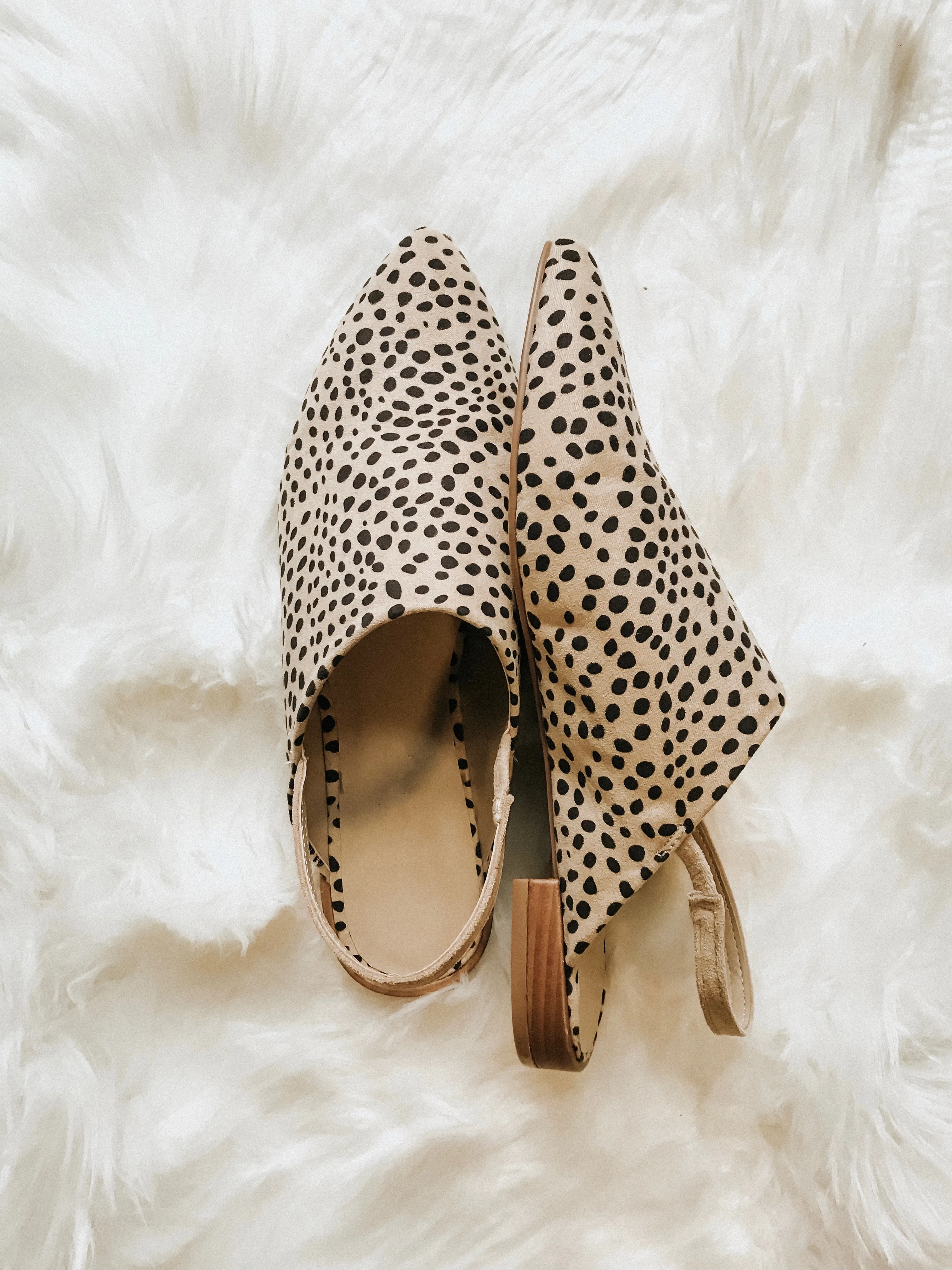 East River Cheetah Flat