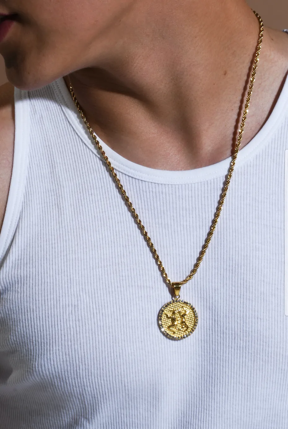 Men's Gold/Crystal  Gemini (The Twins) necklace