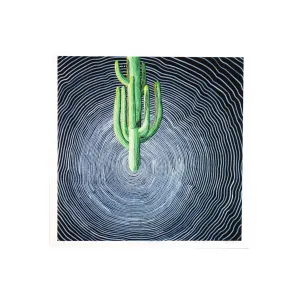 Saguaro Vortex - Andy Brown