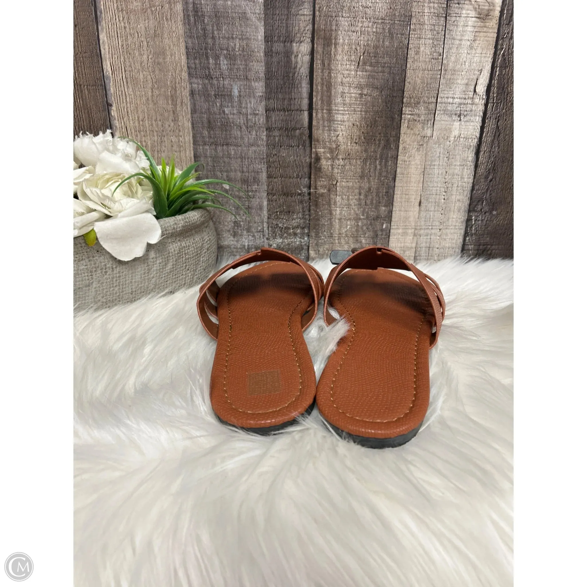 Sandals Flats By Cmf In Brown, Size: 9