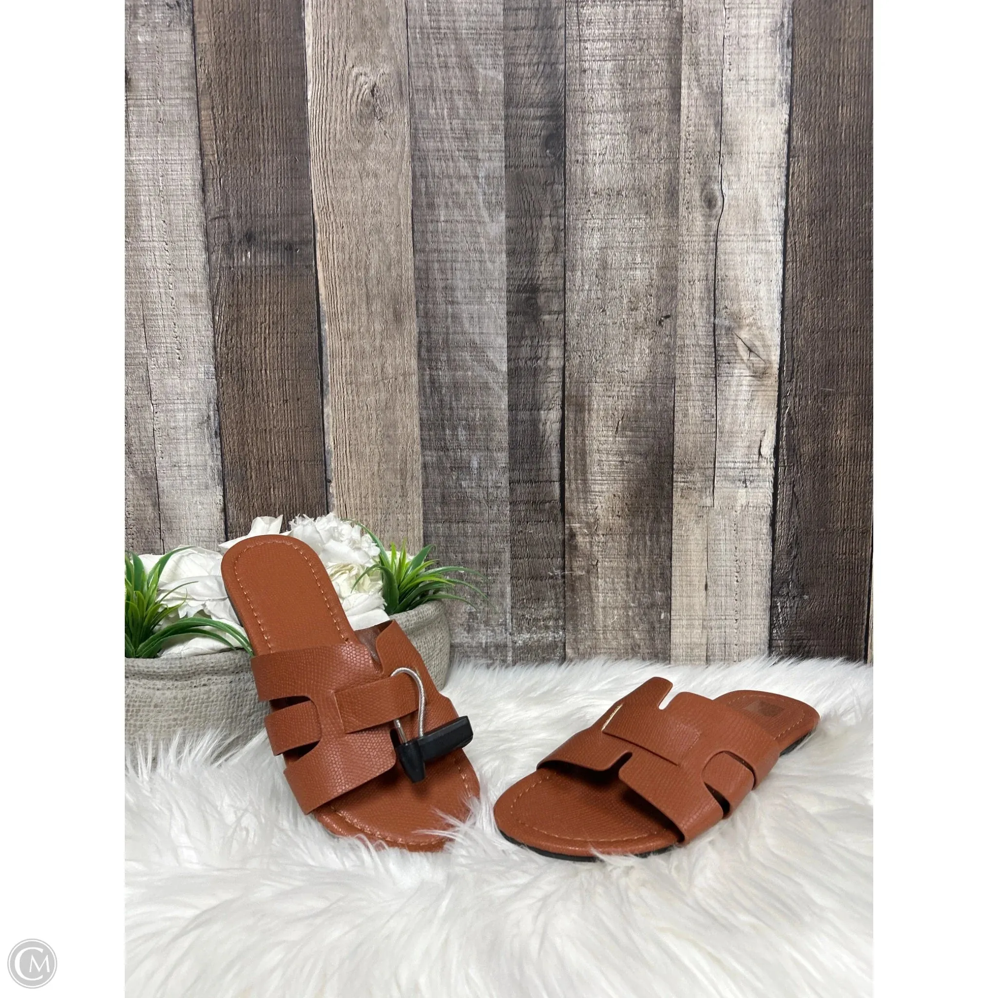 Sandals Flats By Cmf In Brown, Size: 9