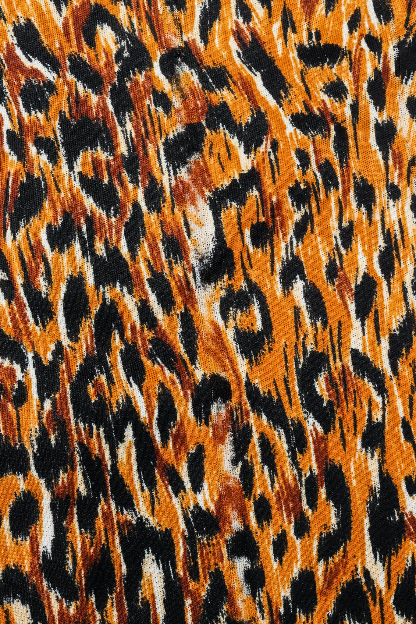 Slinky Animal Print Leisure Set