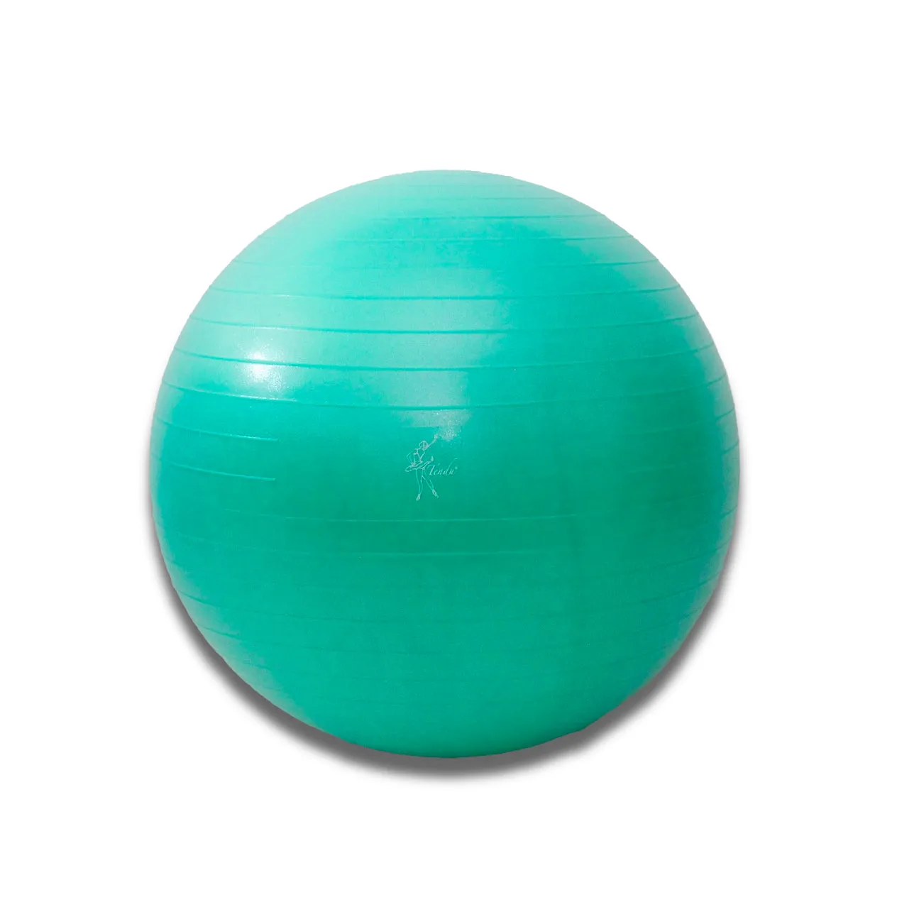 Tendu Stability Yoga Fitness Ball (with foot pump)